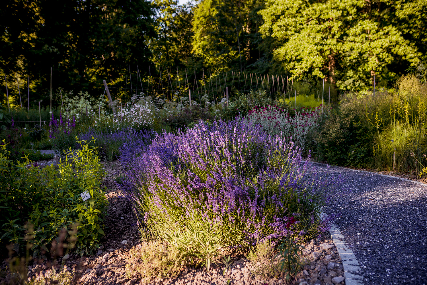 Im Schlosspark