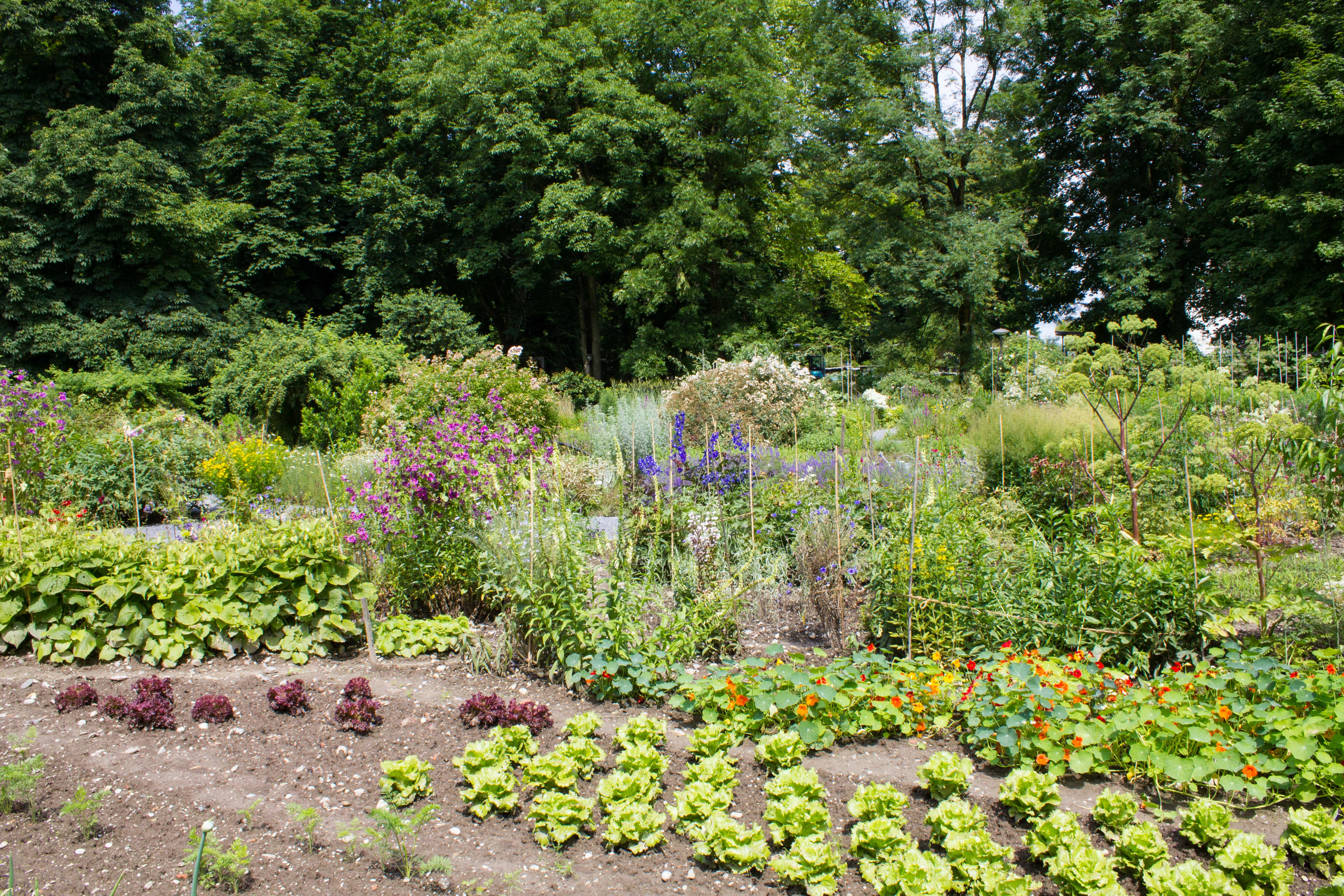Im Schlosspark